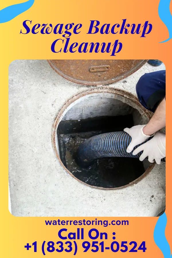 Sewage Backup Cleanup in Hartington, NE